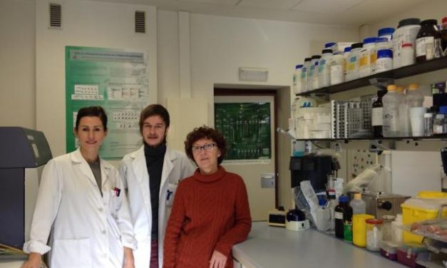 Descubren nuevas claves de la relación entre el ‘colesterol bueno’ y la enfermedad cardiovascular