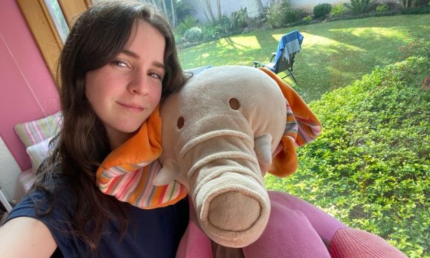 Más de 1.500 reumatólogos debatirán en Sevilla sobre el lupus, la artritis, la osteoporisis, entre otras enfermedades reumáticas