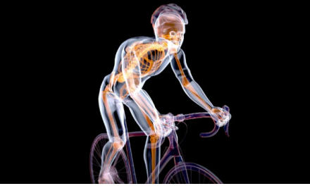 Pablo Ojeda, experto en nutrición: “Tus huesos empiezan a debilitarse y comienza una vida con más dolor y menos músculo”