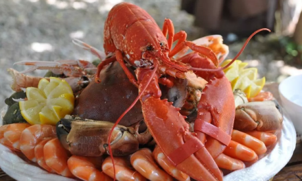 ¿Amenaza de gota? Estos son los alimentos que puedes comer, y los que no, en estas Navidades