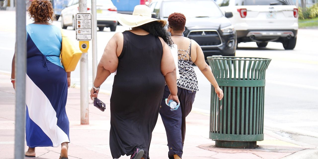 La obesLa obesidad agrava la inflamación y empeora el pronóstico de las enfermedades autoinmunes sistémicasidad agrava la inflamación y empeora el pronóstico de las enfermedades autoinmunes sistémicas